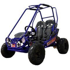 Trailmaster Mini XRX+ 2- Seater GO-KART EAGLE SERIES 163cc Blue - Image 3